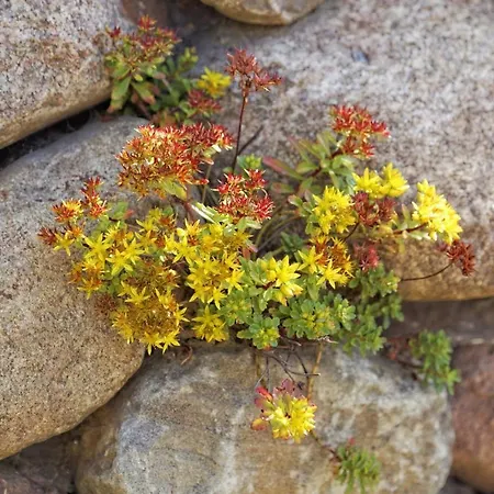 Lotsenstieg 05 Дом отдыха