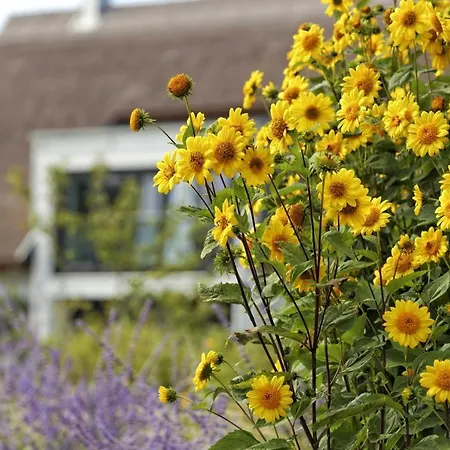 Holiday home Lotsenstieg 05