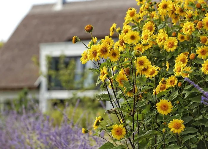 بيت للعطل Lotsenstieg 05